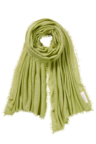 Kaschmirschal Pistazie – einfarbig, 100 % Cashmere | PURSCHOEN
