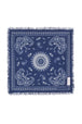 Blue-White